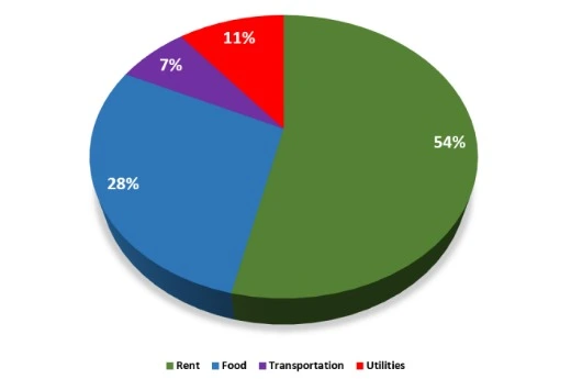 Expense Breakdown of a student studying in New Zealand