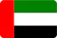 Dubai flag